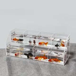 Aquarium pet supplies collection with fish care tank accessories and cleaning essentials