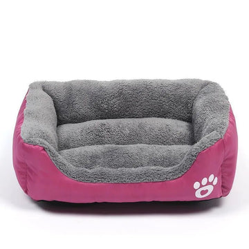 Pet beds and comfort collection with cozy resting essentials for dogs and cats