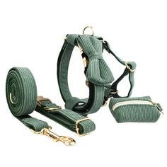 Pet collars and leashes collection with secure collars durable leashes and walking essentials