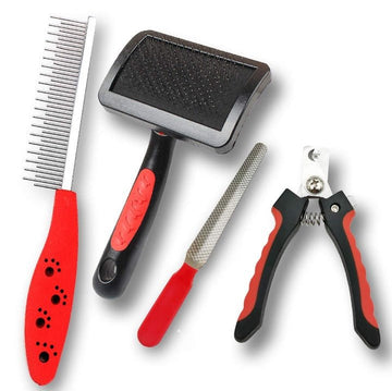 Pet grooming supplies collection with brushes combs cleaning tools and hygiene essentials