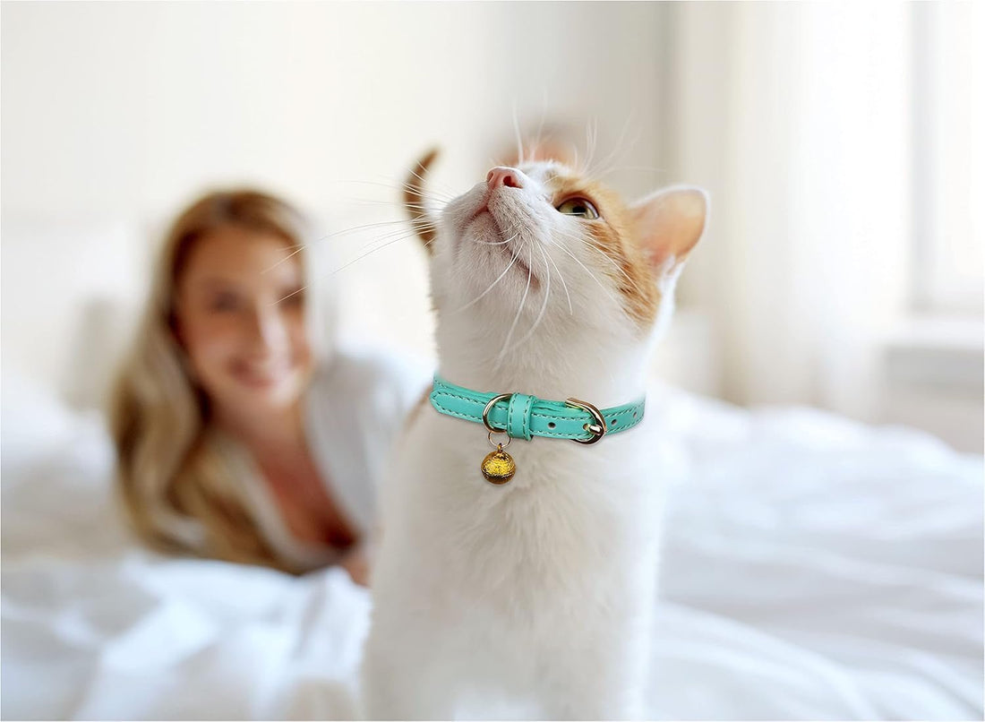 3 Pack Leather Cat Collars with Bells Soft Pet Safety Collar Kitten Collars with Bell Orange Yellow Mint Green(S) - PetOhPets