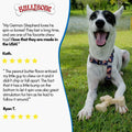 Spin-A-Bone Dog Chew Toy with Bacon Flavor for Dental Health
