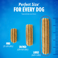 VOHC accepted Purina DentaLife dental treats for adult large dogs