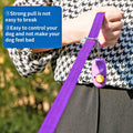 15/20/30/50/100 Ft Long Dog Training Leash with Clickers for Small, Medium and Large Dogs or Cats (30 Feet, Purple)