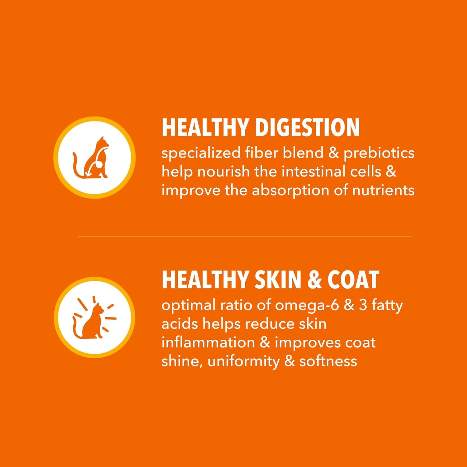 Proactive Health Adult Healthy Dry Cat Food with Chicken, 7 Lb. Bag