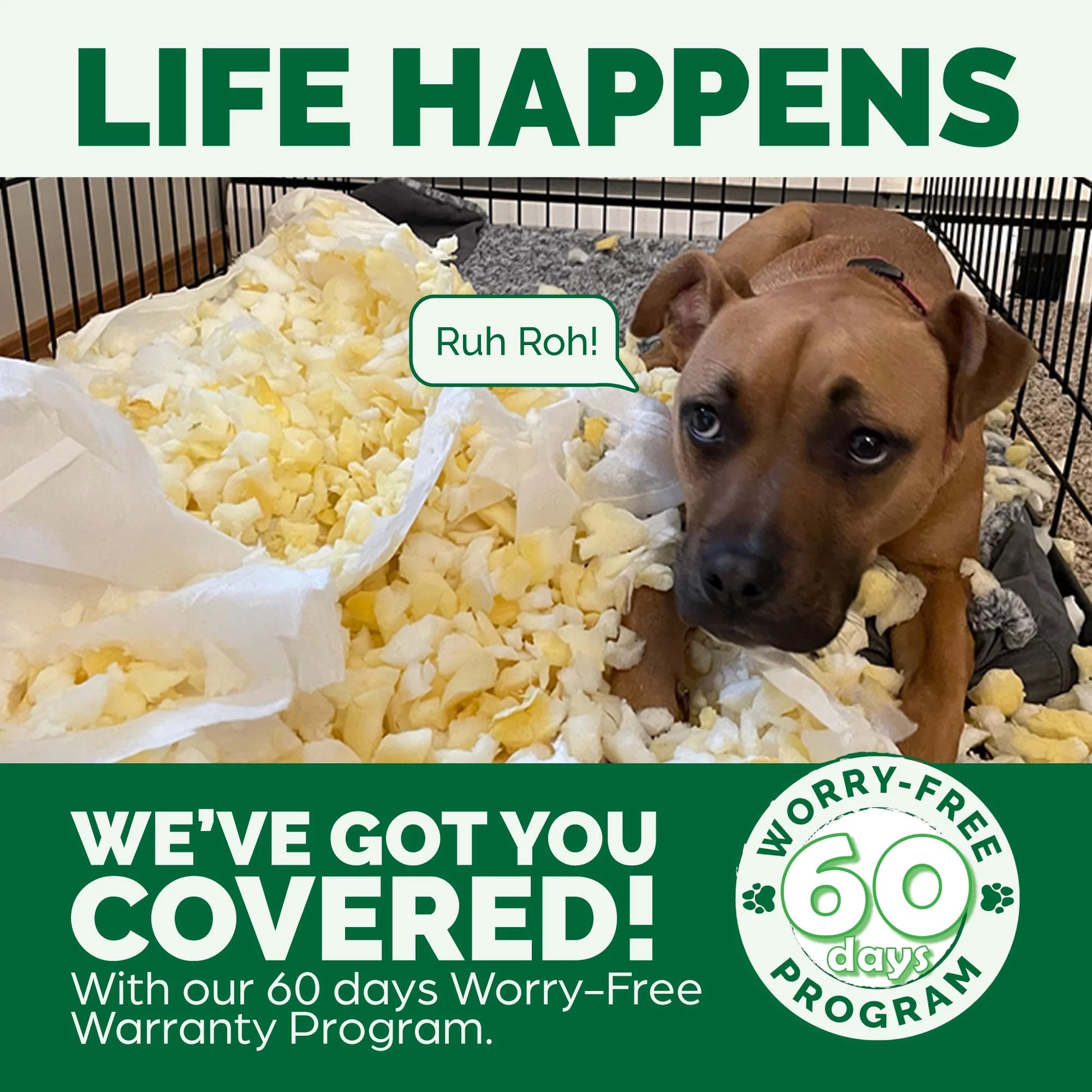 Pet Products Quilted Orthopedic Sofa Pet Bed for Dogs & Cats - Navy, Large