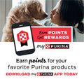 Purina DentaLife large breed dog treats with no artificial flavors or colors