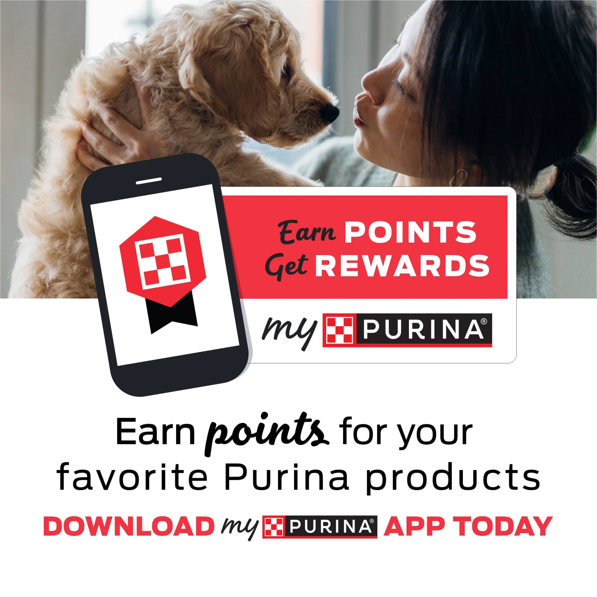 Purina DentaLife large breed dog treats with no artificial flavors or colors