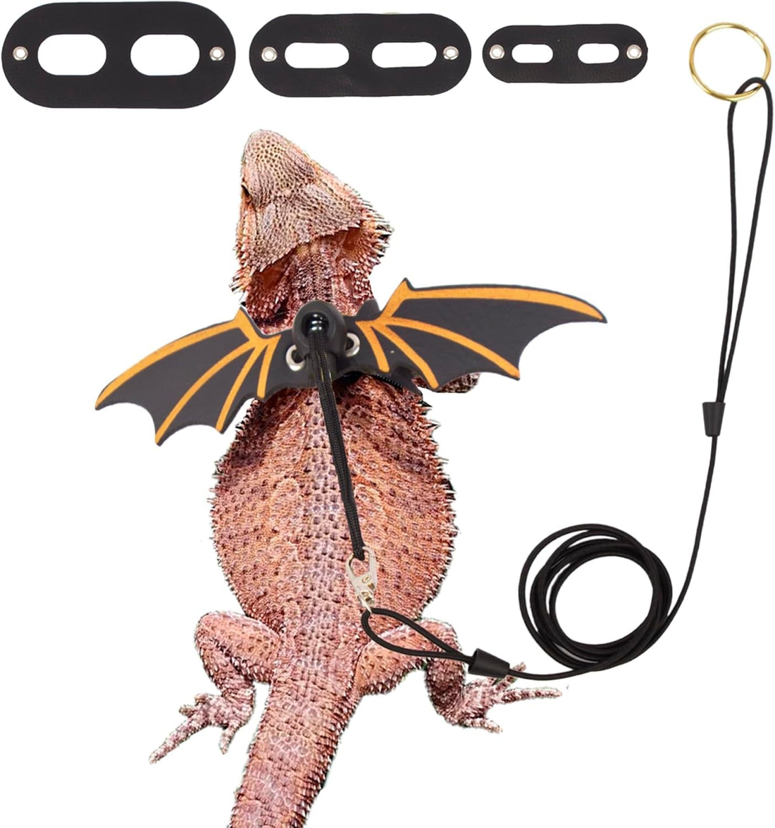 Bearded Dragon Leash Harness, 3 Size Pack Black Lizard Wing Harness with Removable Leash for Bearded Dragon Lizard Reptiles - PetOhPets