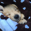 Blanket for Pets - Cozy Dog Blanket for Small Dogs - Machine Washable Dog Blanket in Blue - PetOhPets