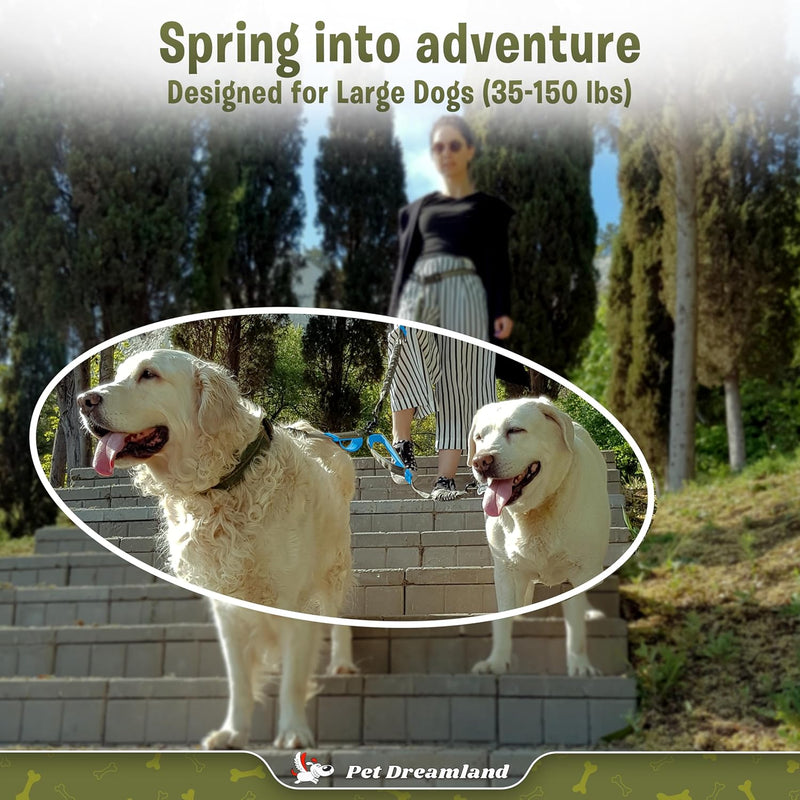 Exquisite Leash Coupler for Two Large Dogs with Tangle-Free Swivel. Dual Dog Attachment, Smooth Walks Guaranteed. You Will Absolutely Love This Amazing Gear for 2 Dogs (Grey & Blue)