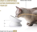 Ceramic Raised Cat Bowls, Slanted Cat Dish Food or Water Bowls, Elevated Porcelain Pet Feeder Bowl Protect Cat'S Spine, Stress Free, Backflow Prevention (White) - PetOhPets