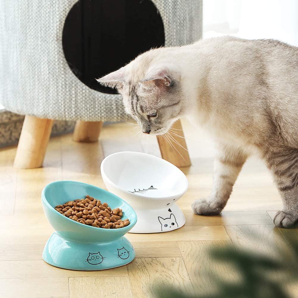 Ceramic Raised Cat Bowls, Slanted Cat Dish Food or Water Bowls, Elevated Porcelain Pet Feeder Bowl Protect Cat'S Spine, Stress Free, Backflow Prevention (White) - PetOhPets