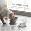 Ceramic Raised Cat Bowls, Slanted Cat Dish Food or Water Bowls, Elevated Porcelain Pet Feeder Bowl Protect Cat'S Spine, Stress Free, Backflow Prevention (White) - PetOhPets