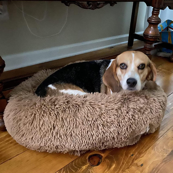 Comfortable round Plush Dog Beds, Calming Dog Bed for Small Medium and Large Dogs - XL - PetOhPets