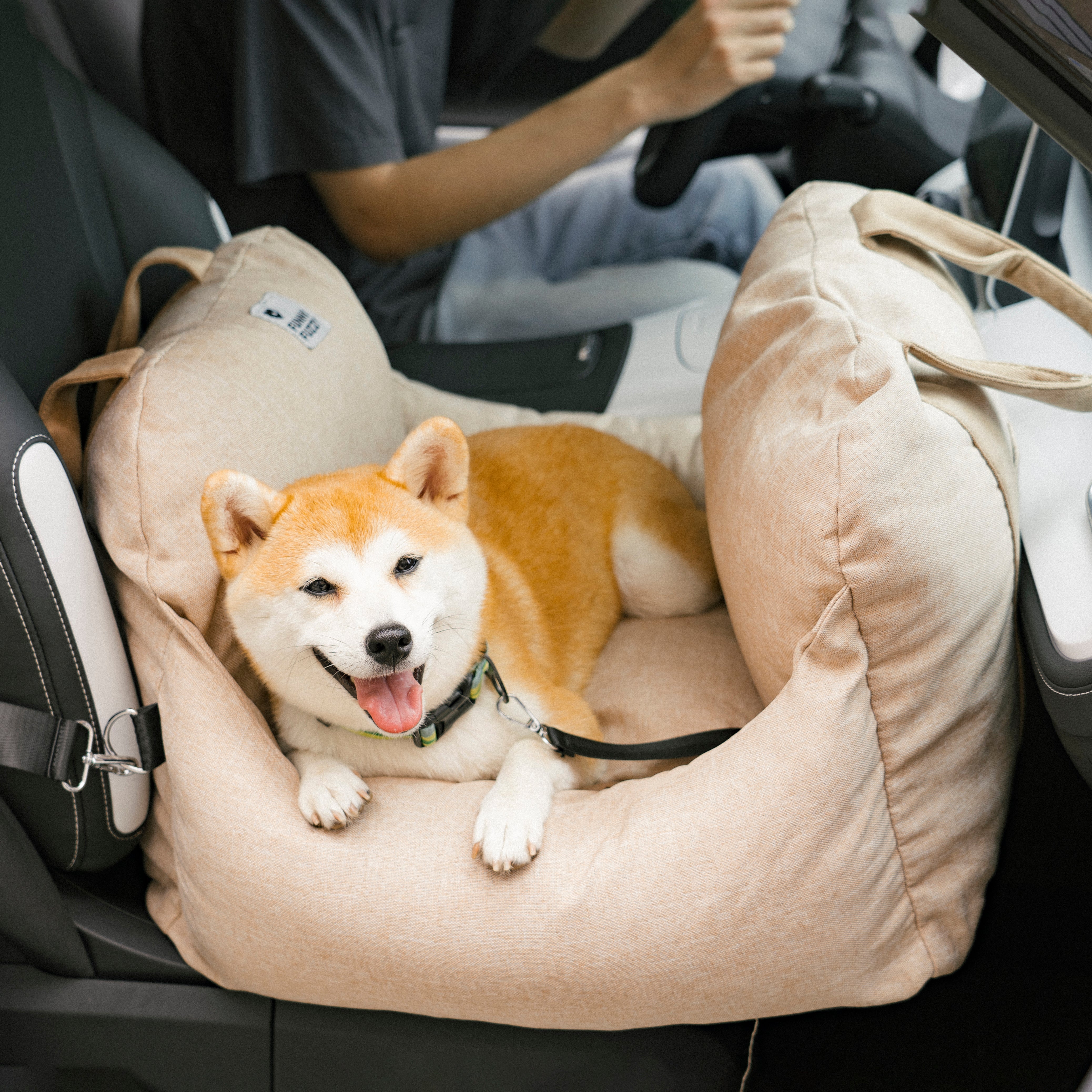 Dog Car Seat Bed - First Class - PetOhPets