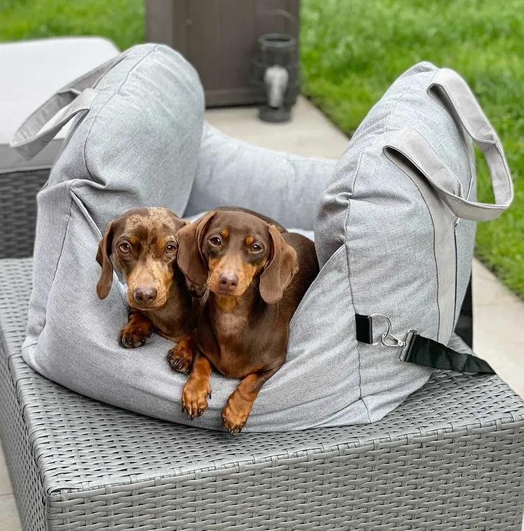 Dog Car Seat Bed - First Class - PetOhPets
