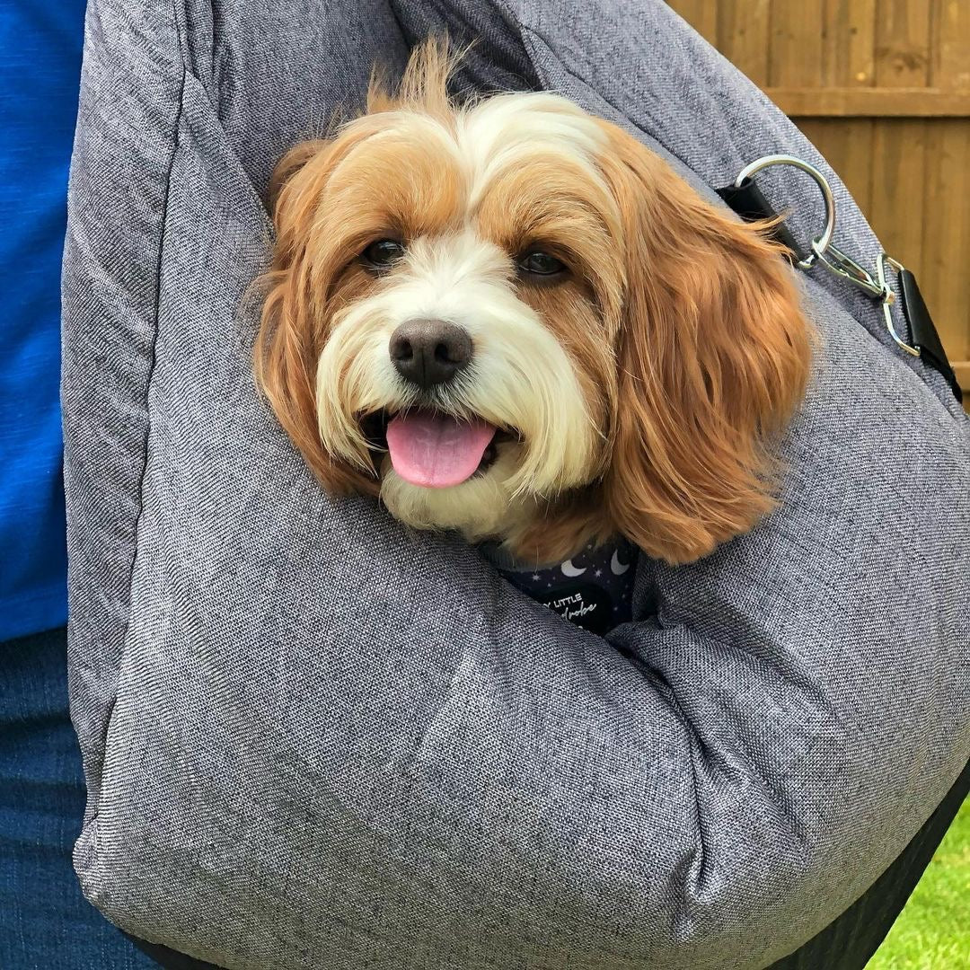 Dog Car Seat Bed - First Class - PetOhPets