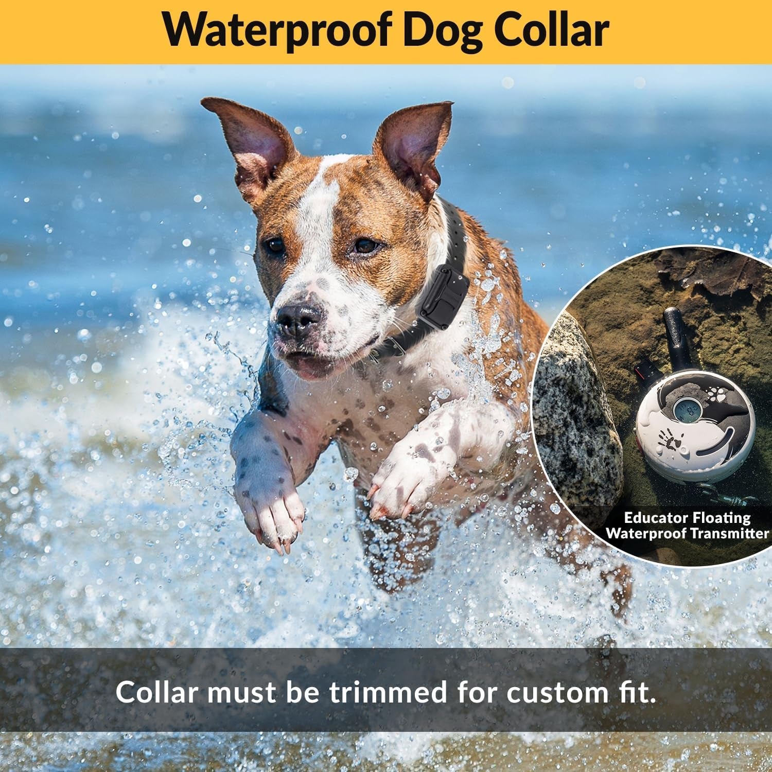 E - Collar Dog Training Collar, Rechargeable Remote + Finger Clicker, for Small to Medium Dogs, Humane Tapping Stimulation, 100 Levels, Tone, Light, 1/2 Mile 1 Dog, Zen - PetOhPets