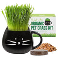 Cat grass kit with black cat ceramic planter and organic edible grass seeds