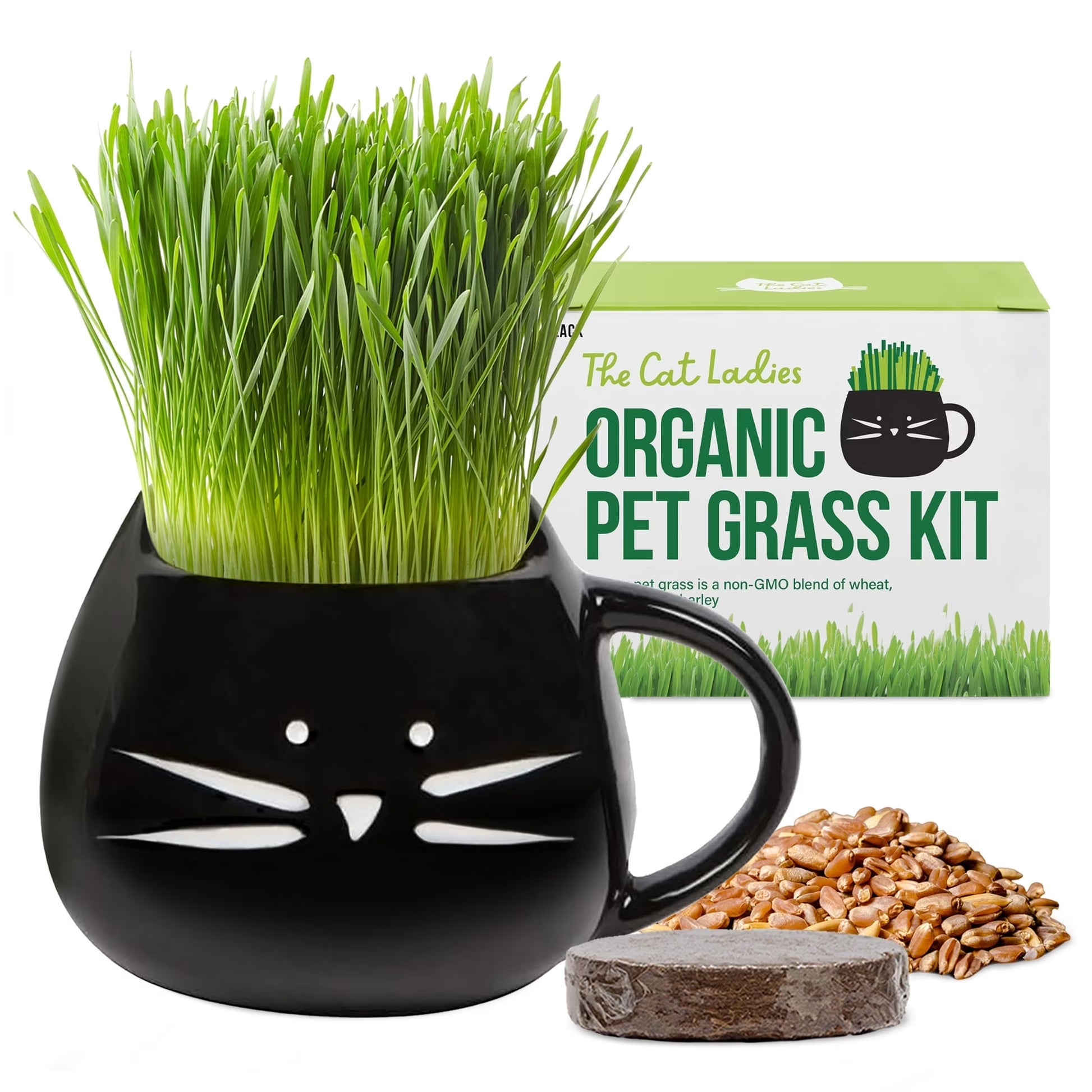 Cat grass kit with black cat ceramic planter and organic edible grass seeds