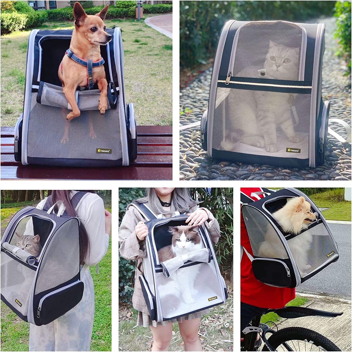 Innovative Traveler Bubble Backpack Pet Carriers for Cats and Dogs (Black) - PetOhPets