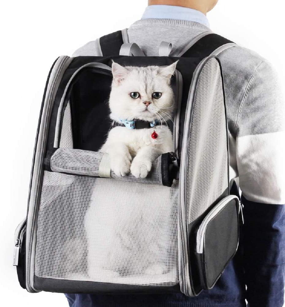 Innovative Traveler Bubble Backpack Pet Carriers for Cats and Dogs (Black) - PetOhPets