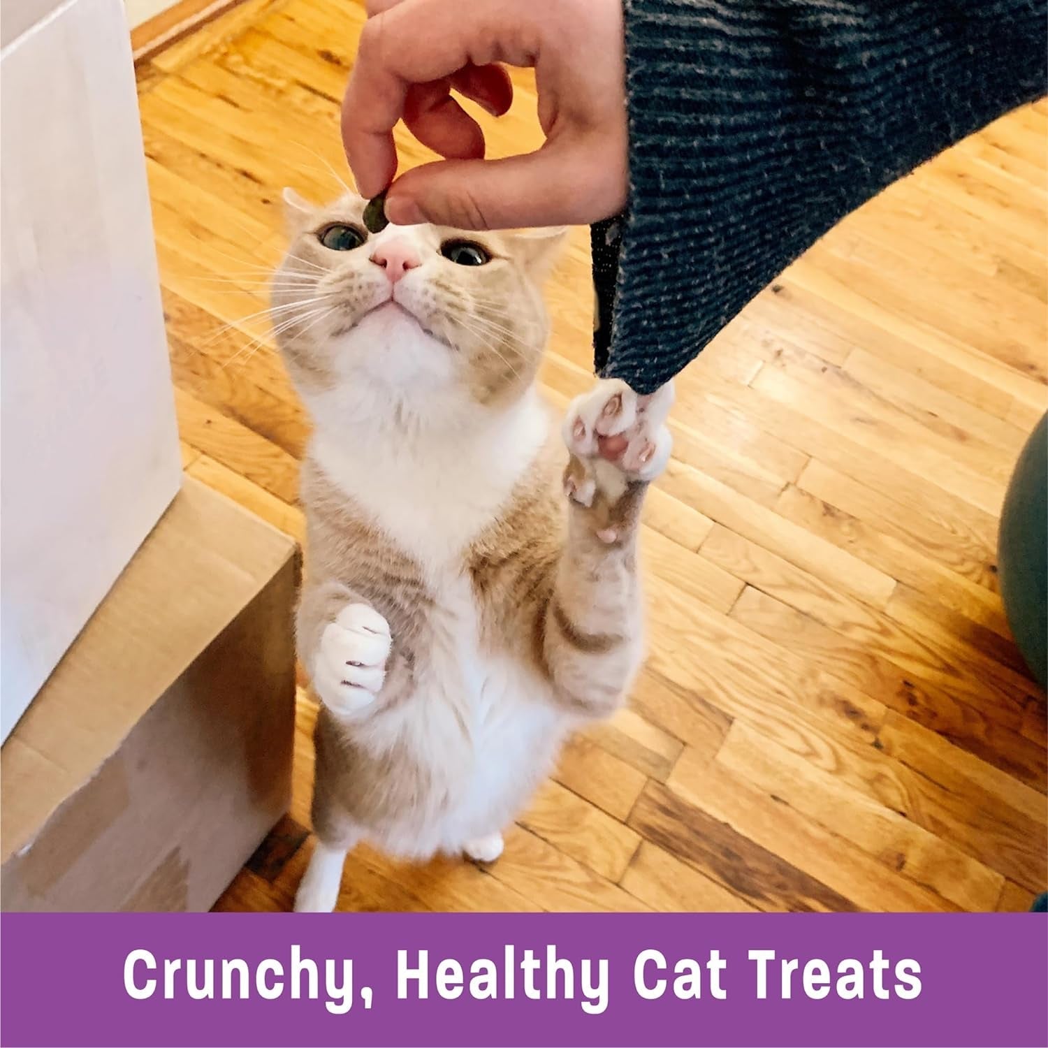 Kittles Crunchy Natural Grain Free Cat Treats, Tuna & Cranberries Recipe, All Life Stages, 6 - Ounce Bag - PetOhPets
