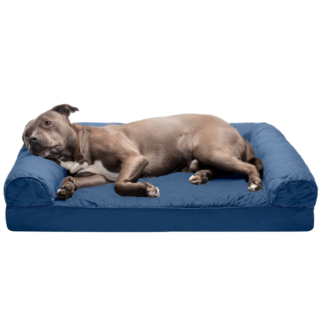 Pet Products Quilted Orthopedic Sofa Pet Bed for Dogs & Cats - Navy, Large - PetOhPets