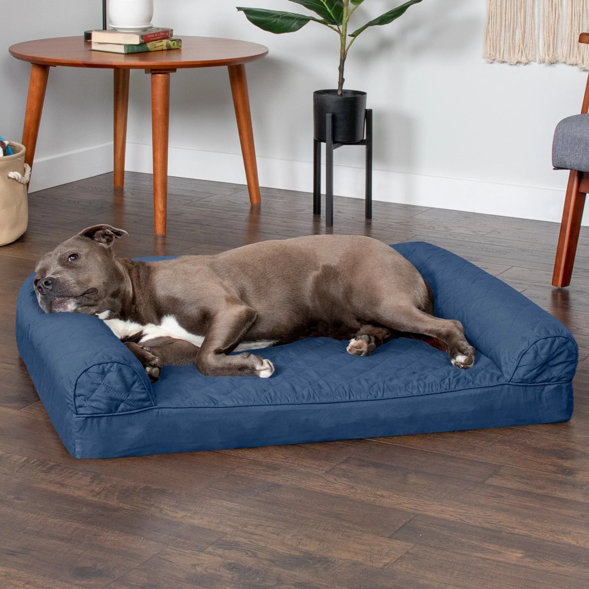 Pet Products Quilted Orthopedic Sofa Pet Bed for Dogs & Cats - Navy, Large - PetOhPets