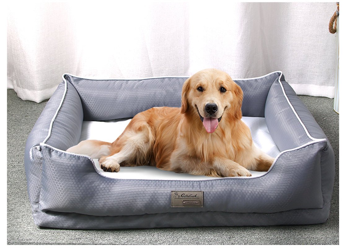 Removable Pet Litter Dog Beds Pet Supplies - PetOhPets