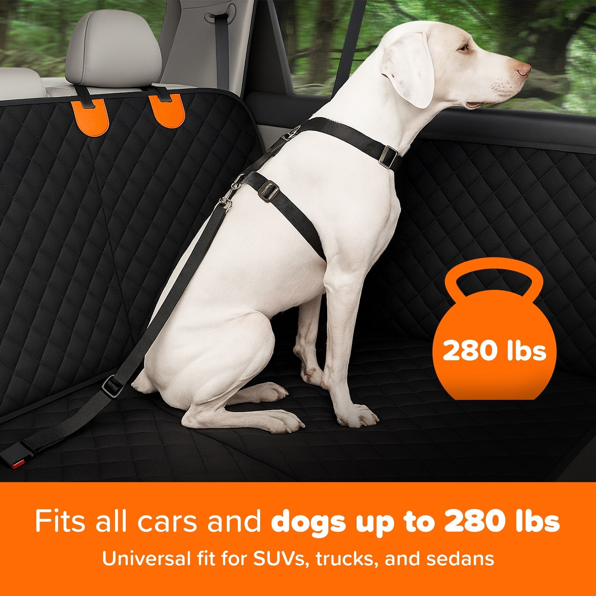 RuffRider™ Hard Bottom Dog Car Seat Protector - PetOhPets