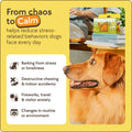 TheraPetMD Dog Calming Diffuser – 60 Day Supply with Refill - PetOhPets