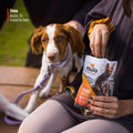Trainers Duck Recipe Grain - Free Low - Calorie Healthy Dog & Puppy Training Treats, 4 Ounce Pouch - PetOhPets