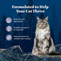 Wilderness Natural Wet Cat Food Paté, High - Protein & Grain - Free Recipe, Chicken, 5.5 - Oz. Cans (24 Count) - PetOhPets